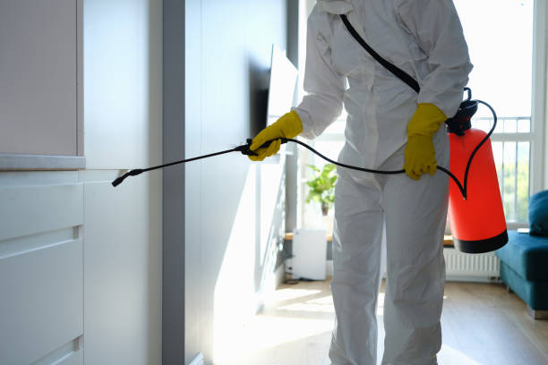Best Residential Mold Remediation in Holladay, UT